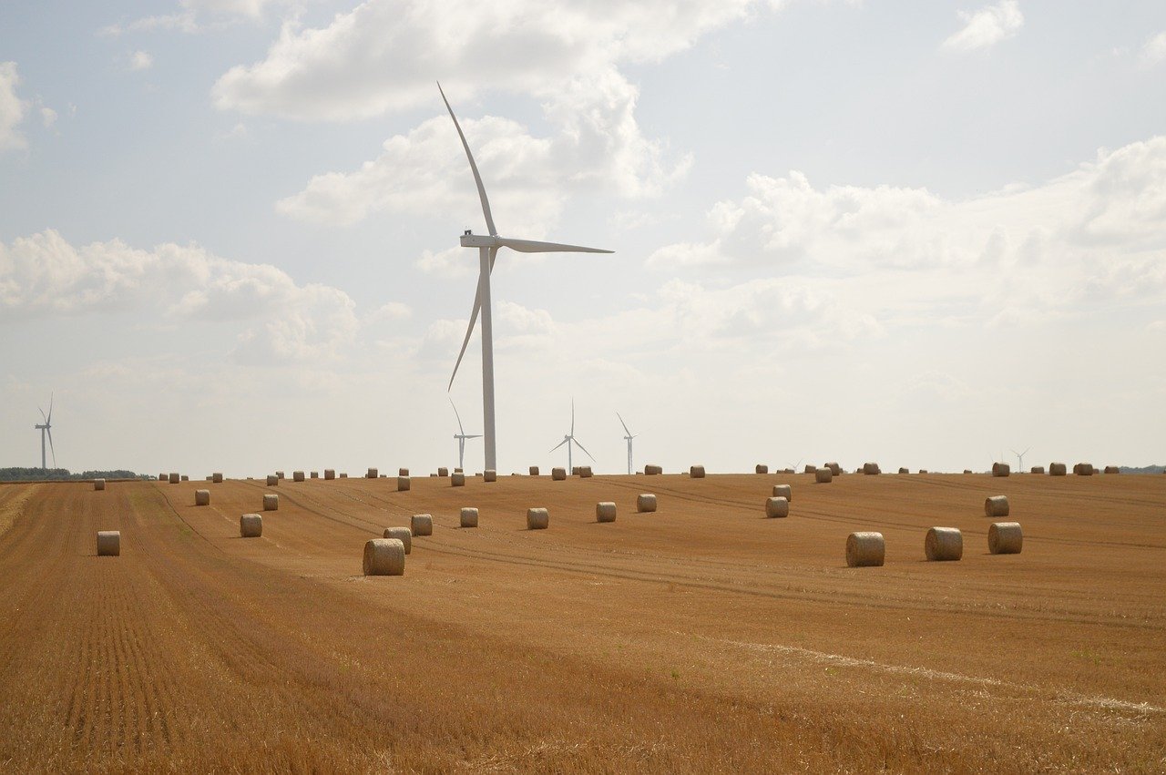The Rise of Sustainable Fashion Marketing